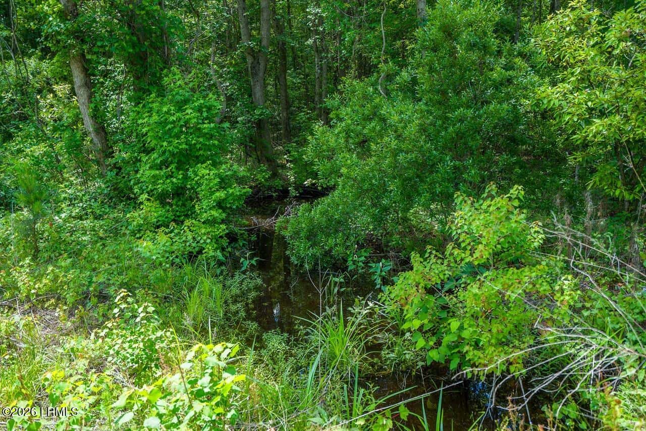 Tbd Evergreen Lane, Walterboro, SC 29488 — photo 16 of 39