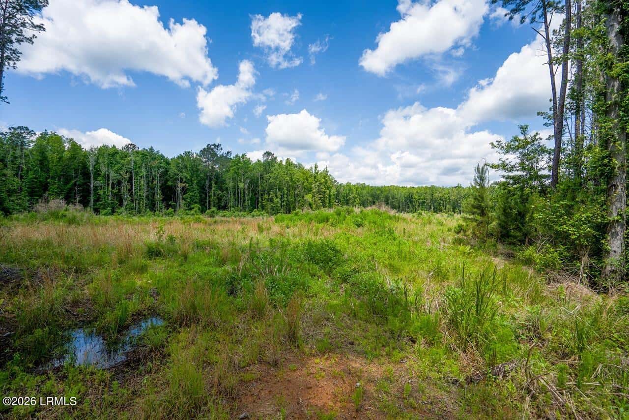 Tbd Evergreen Lane, Walterboro, SC 29488 — photo 17 of 39