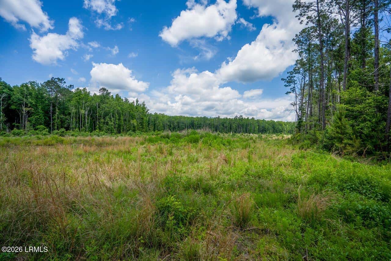 Tbd Evergreen Lane, Walterboro, SC 29488 — photo 18 of 39