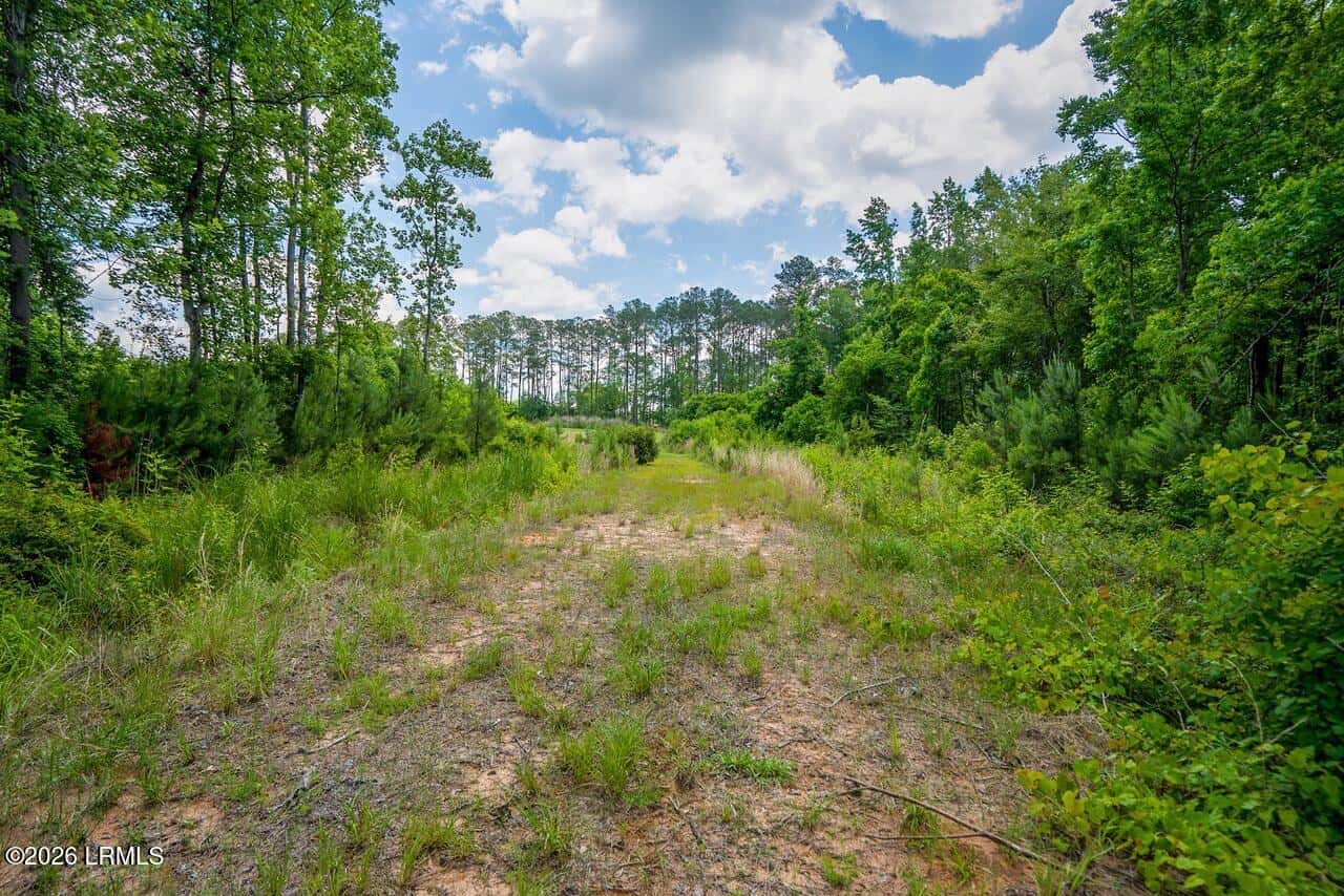 Tbd Evergreen Lane, Walterboro, SC 29488 — photo 19 of 39