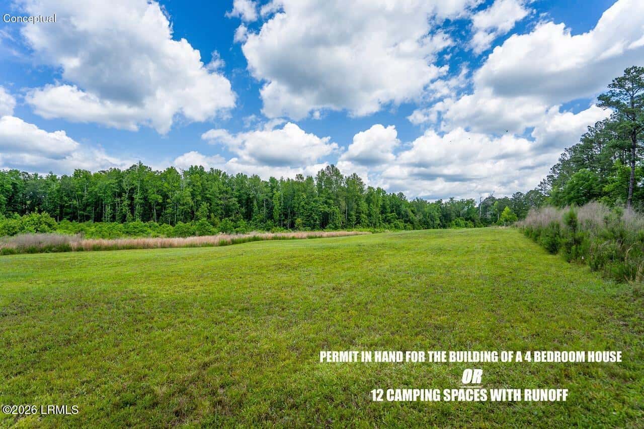 Tbd Evergreen Lane, Walterboro, SC 29488 — photo 10 of 39