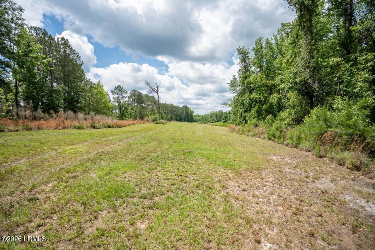 Tbd Evergreen Lane, Walterboro, SC 29488 — photo 23 of 39