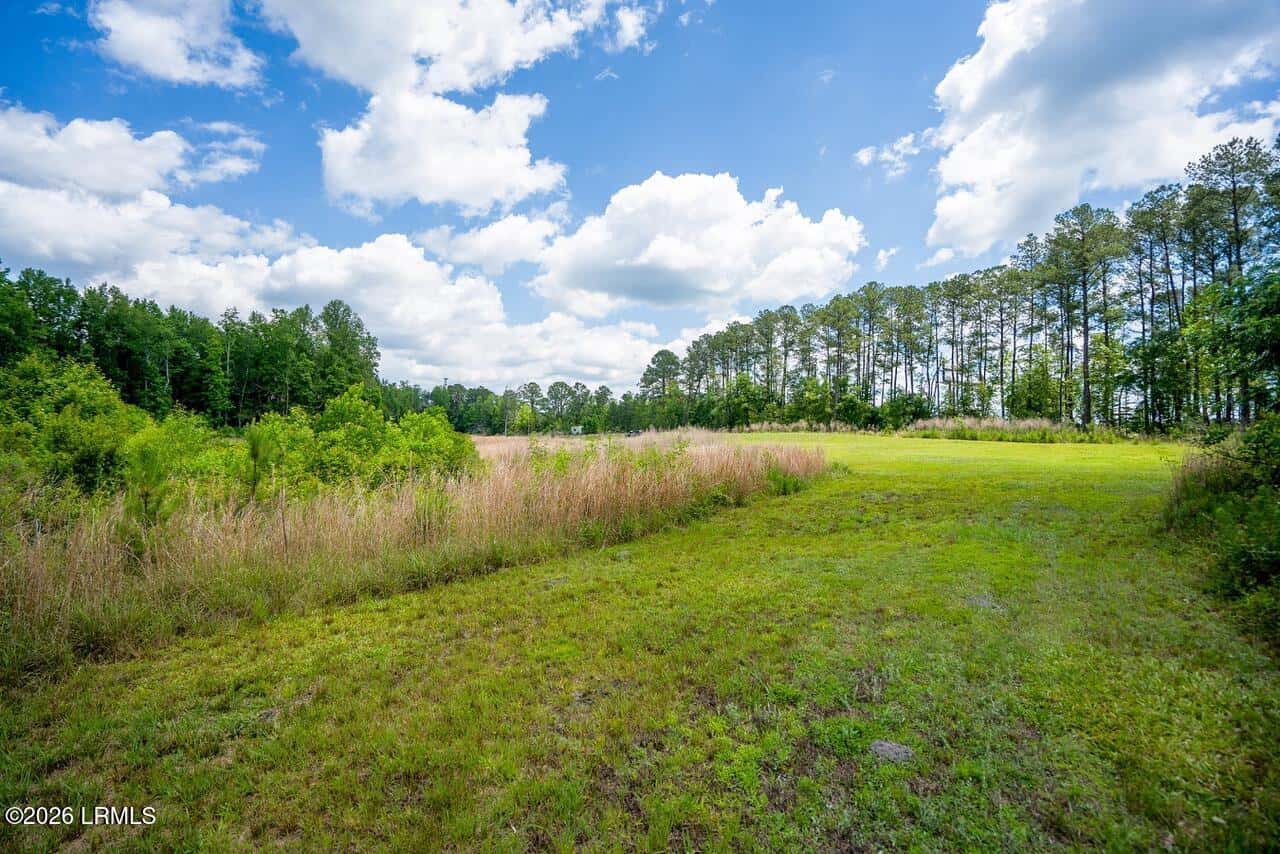 Tbd Evergreen Lane, Walterboro, SC 29488 — photo 31 of 39