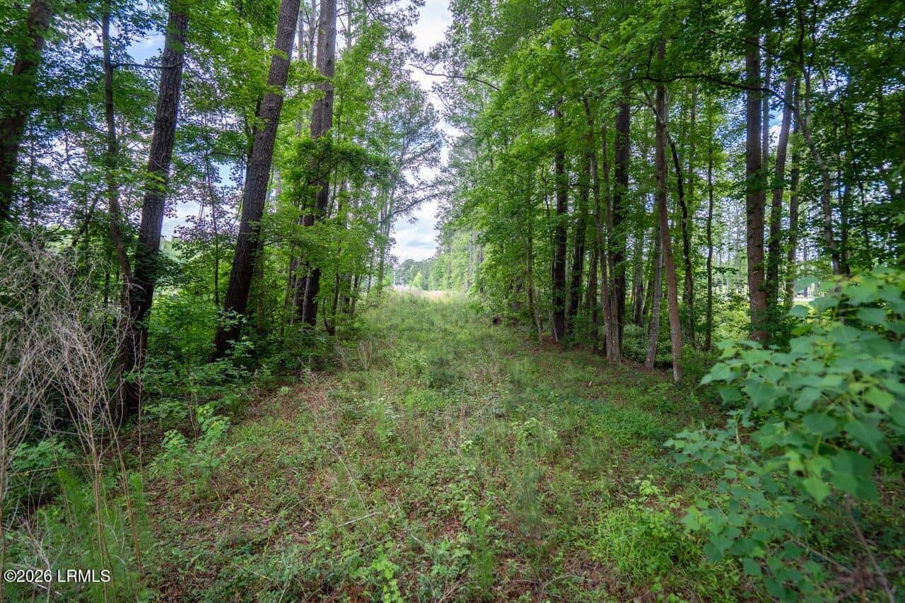 Tbd Evergreen Lane, Walterboro, SC 29488 — photo 36 of 39