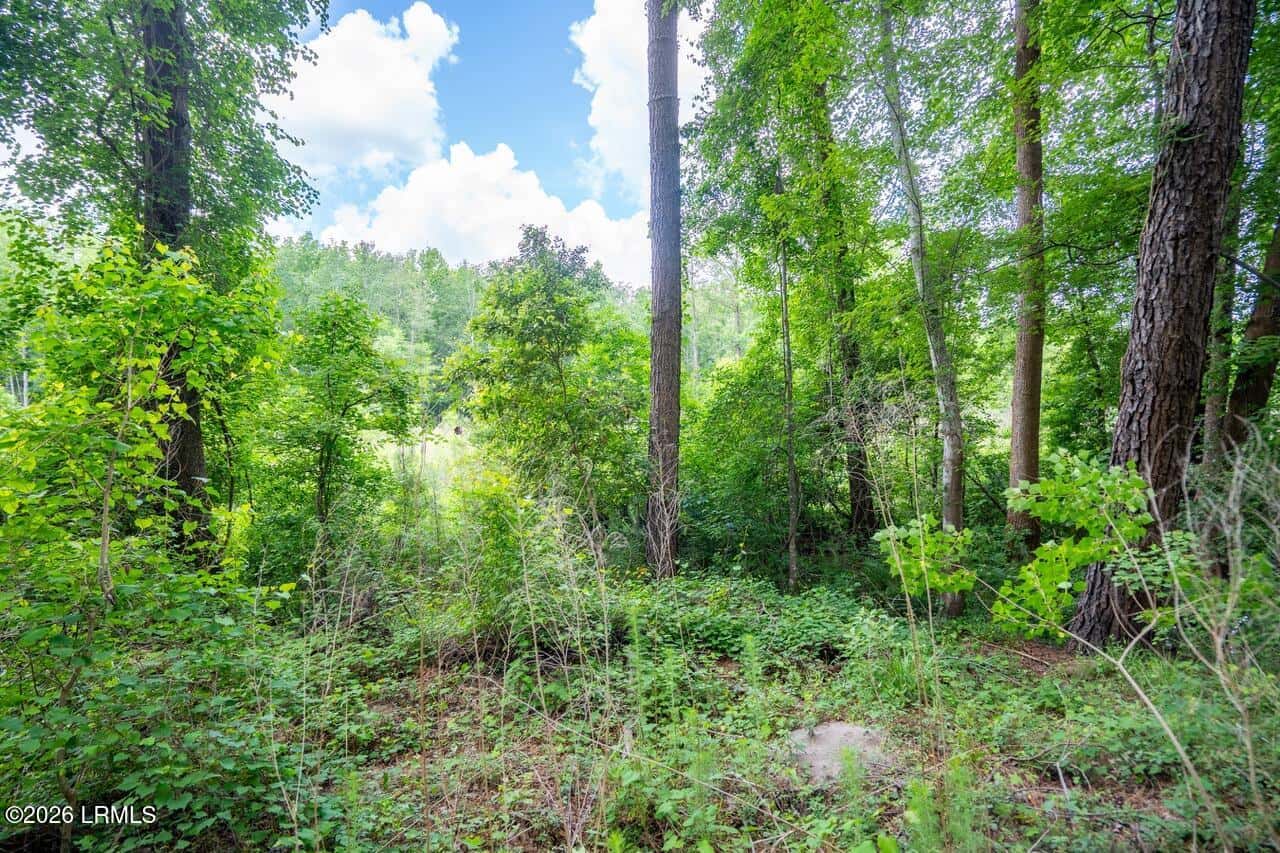 Tbd Evergreen Lane, Walterboro, SC 29488 — photo 37 of 39