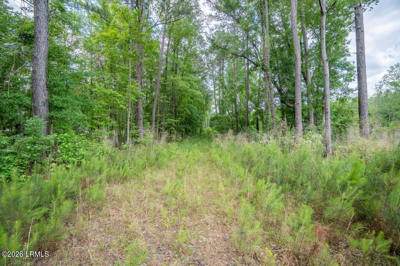 Tbd Evergreen Lane, Walterboro, SC 29488 — photo 38 of 39