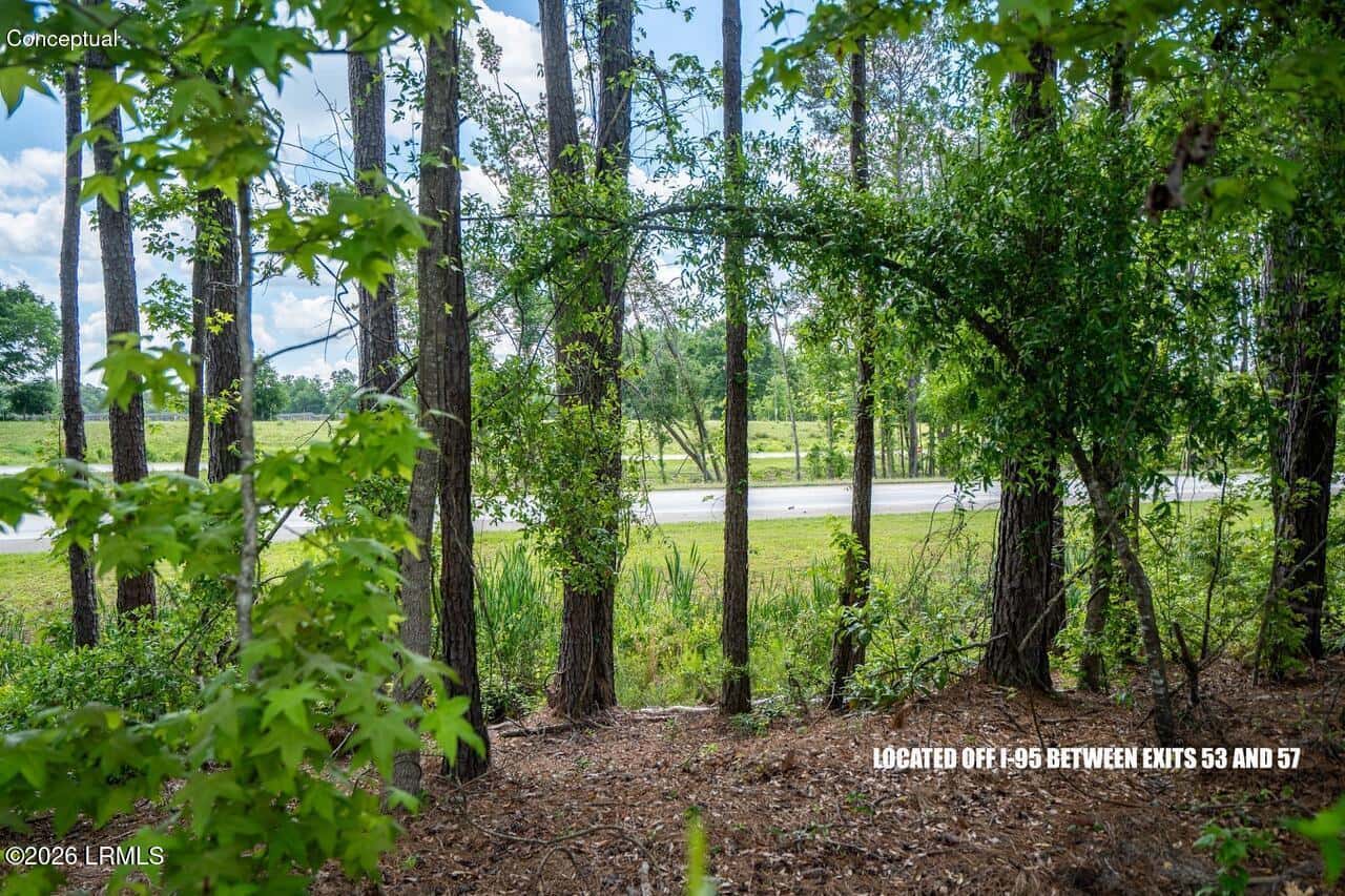 Tbd Evergreen Lane, Walterboro, SC 29488 — photo 34 of 39