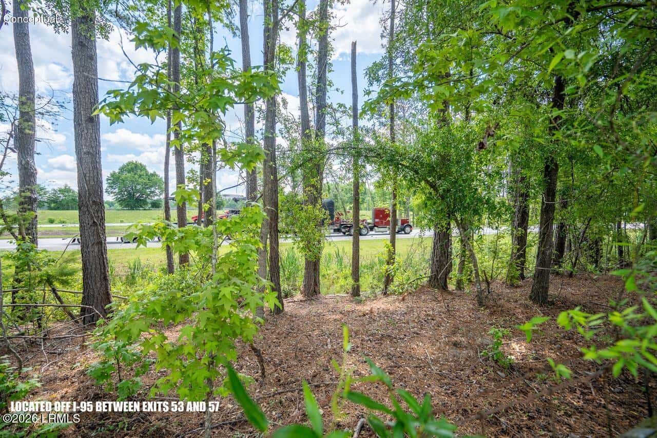 Tbd Evergreen Lane, Walterboro, SC 29488 — photo 35 of 39