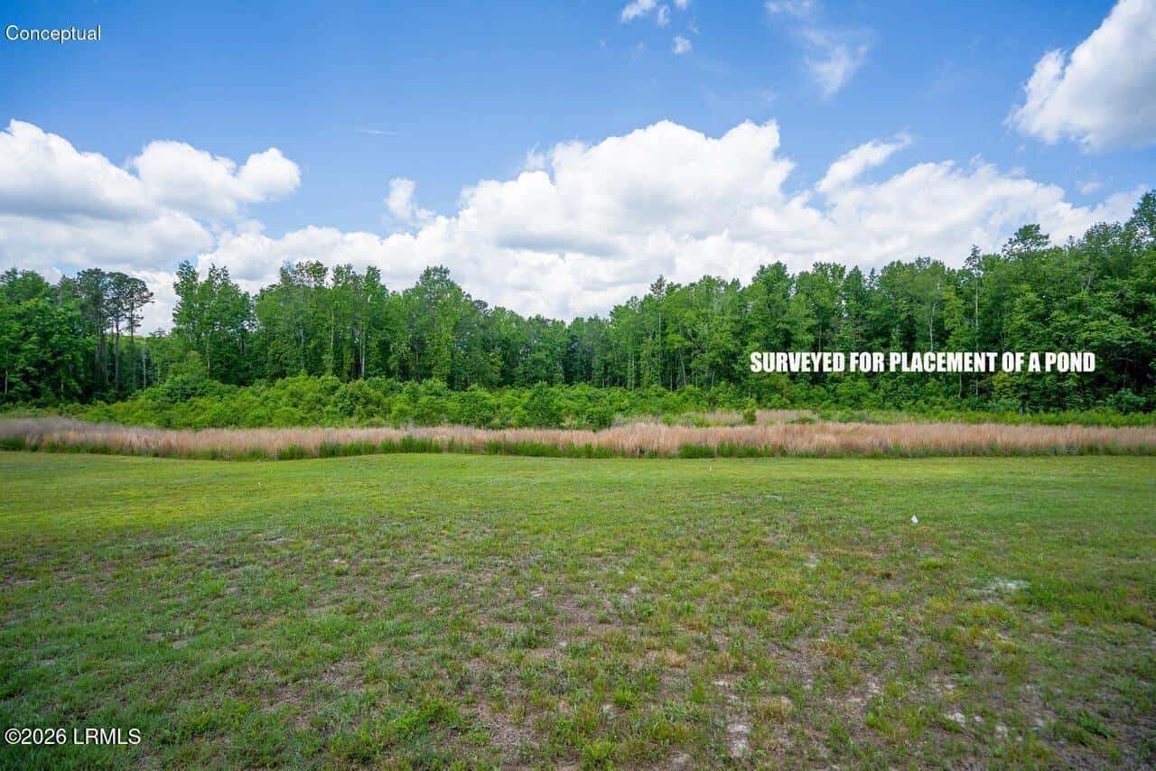 Tbd Evergreen Lane, Walterboro, SC 29488 — photo 33 of 39