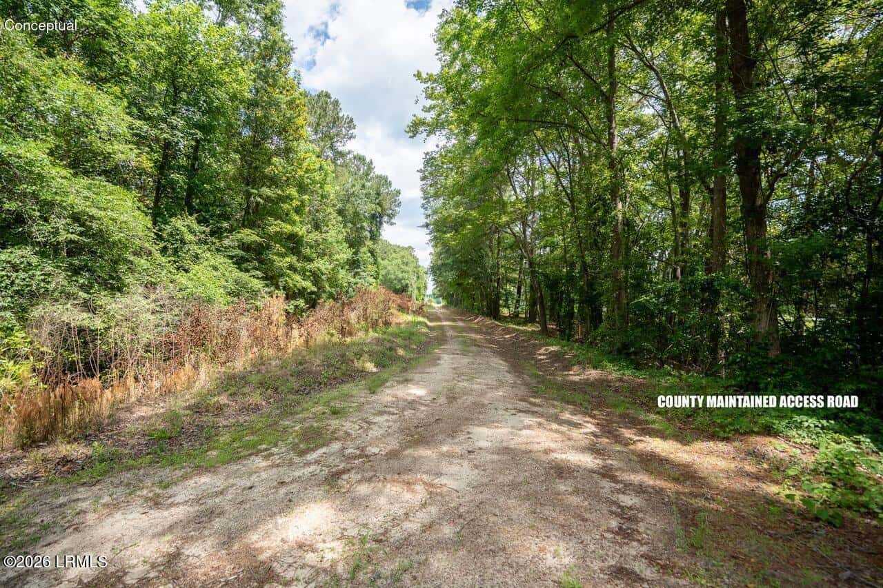 Tbd Evergreen Lane, Walterboro, SC 29488 — photo 25 of 39