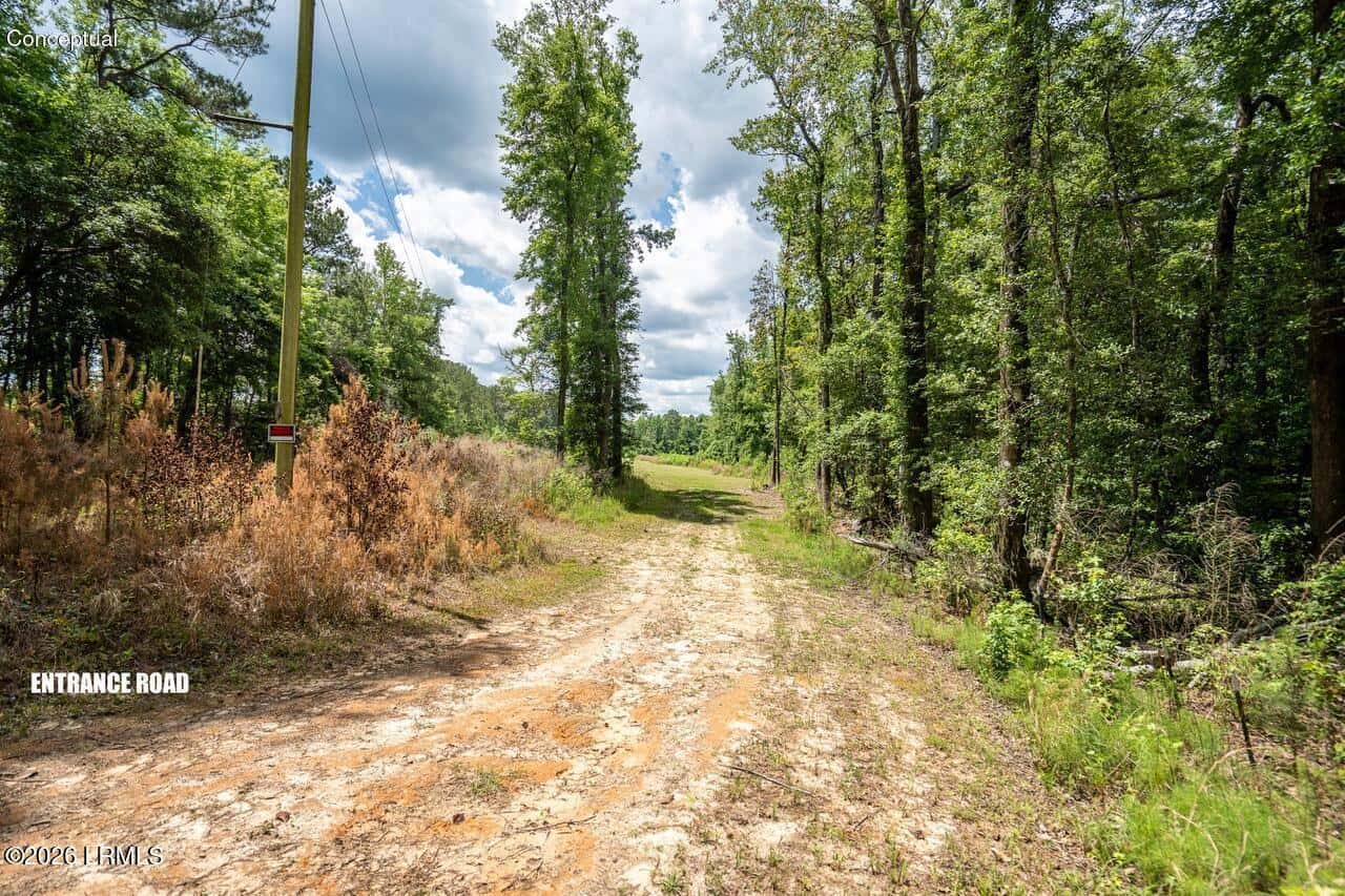 Tbd Evergreen Lane, Walterboro, SC 29488 — photo 24 of 39