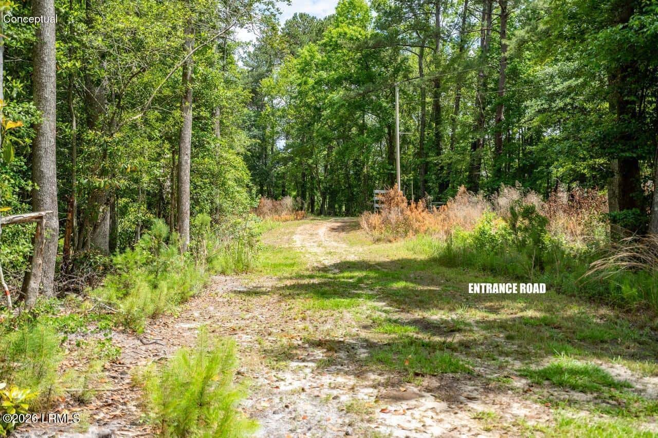 Tbd Evergreen Lane, Walterboro, SC 29488 — photo 22 of 39