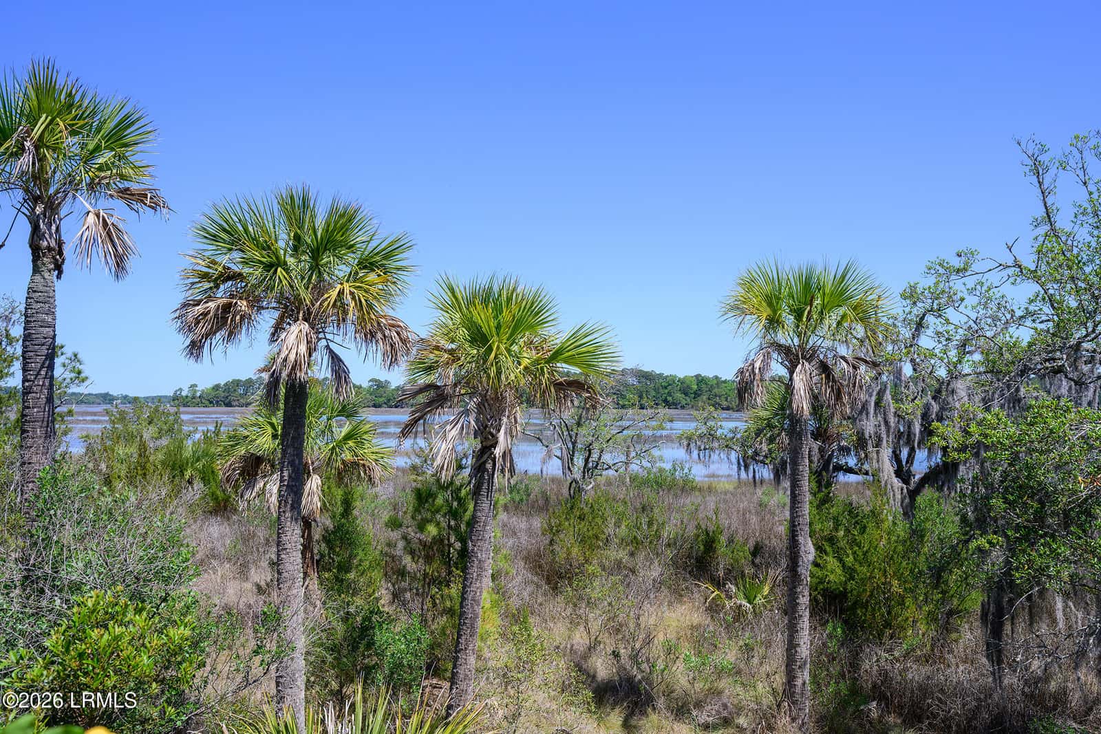 10 Woodstork Landing, Okatie, SC 29909 — photo 79 of 91