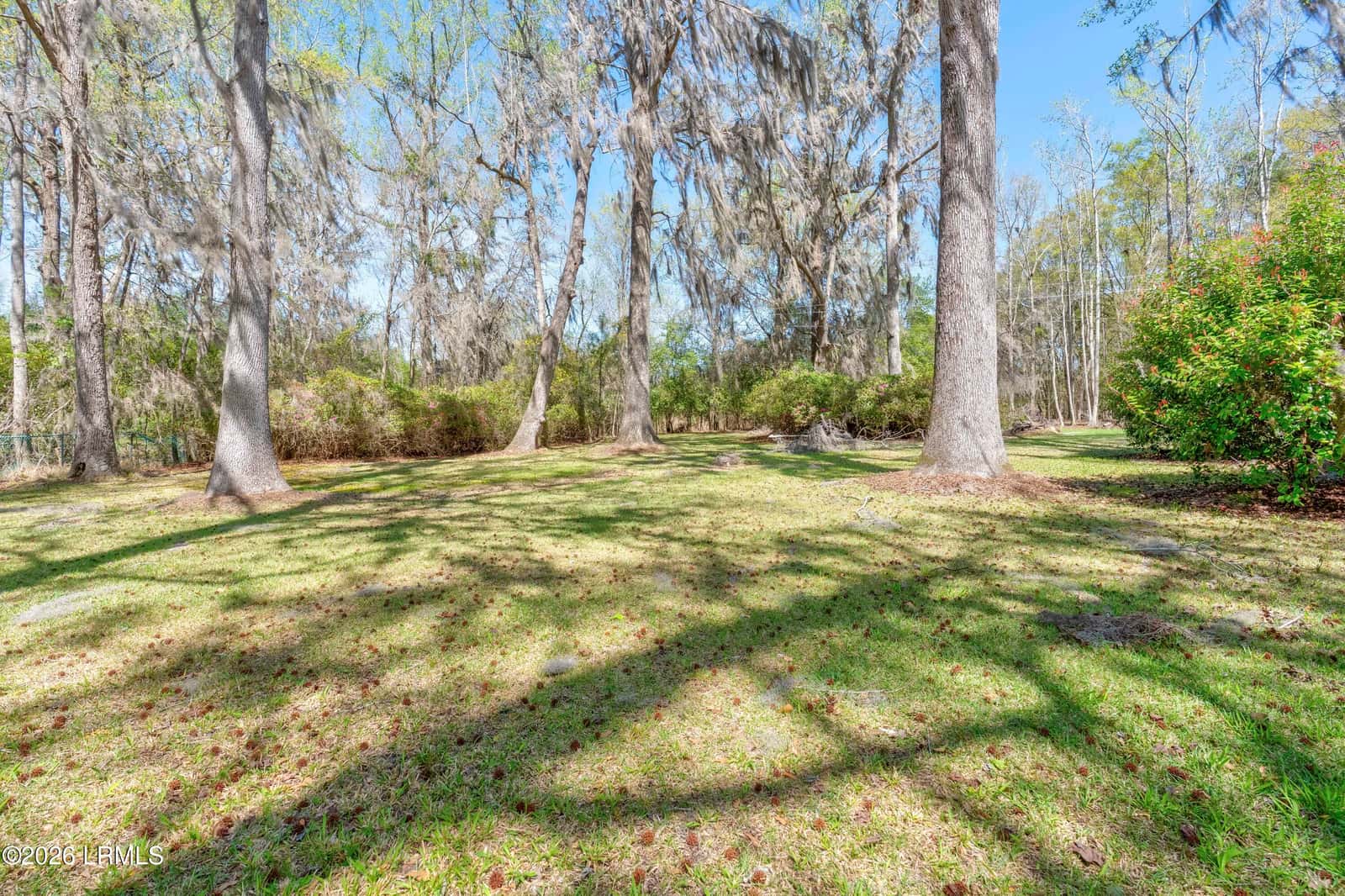 841 Googe Street, Allendale, SC 29810 — photo 8 of 41