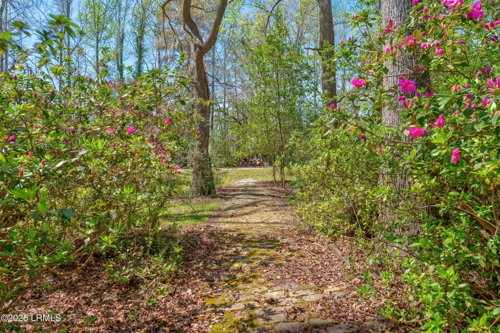 841 Googe Street, Allendale, SC 29810 — photo 15 of 41