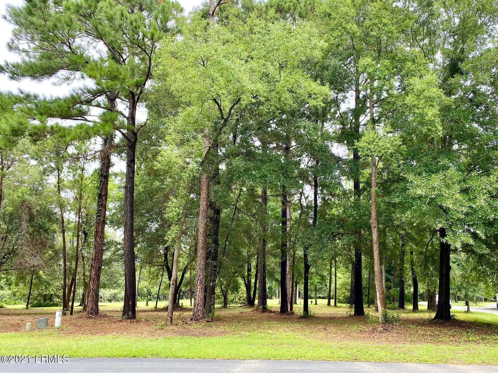 695 Distant Island Drive, Beaufort, SC 29907 — photo 24 of 40