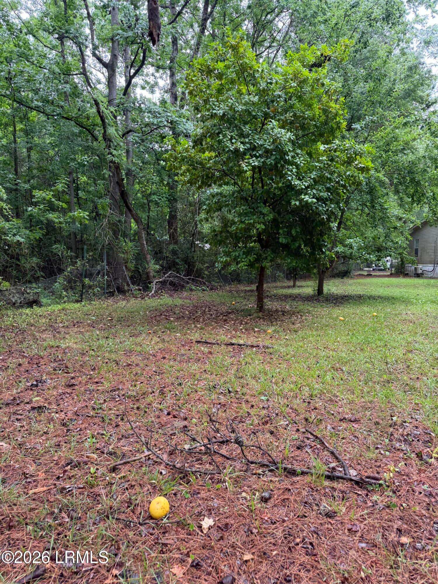 185 Stanley Road, Beaufort, SC 29906 — photo 8 of 36