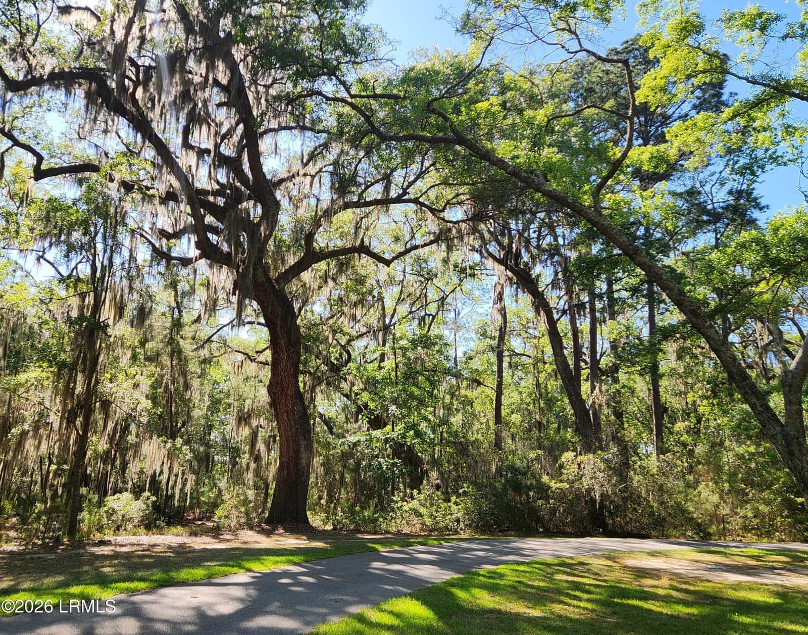 75 Island Way, Seabrook, SC 29940 — photo 15 of 98