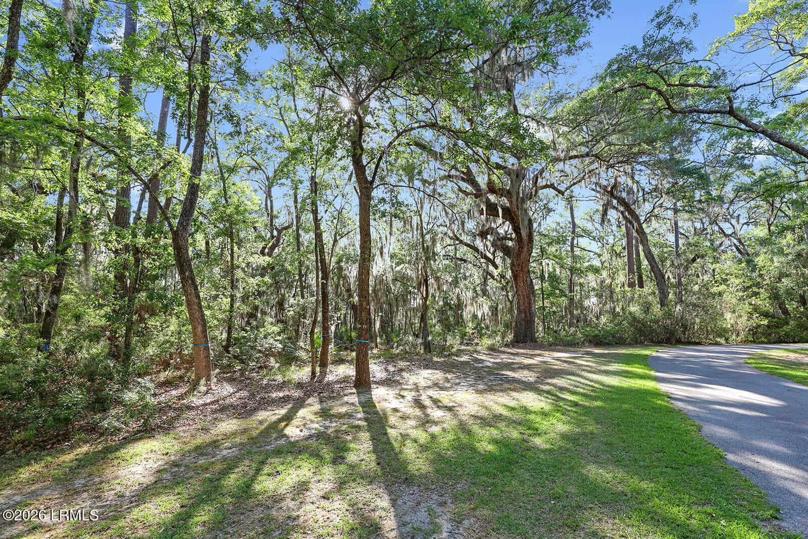 75 Island Way, Seabrook, SC 29940 — photo 16 of 98