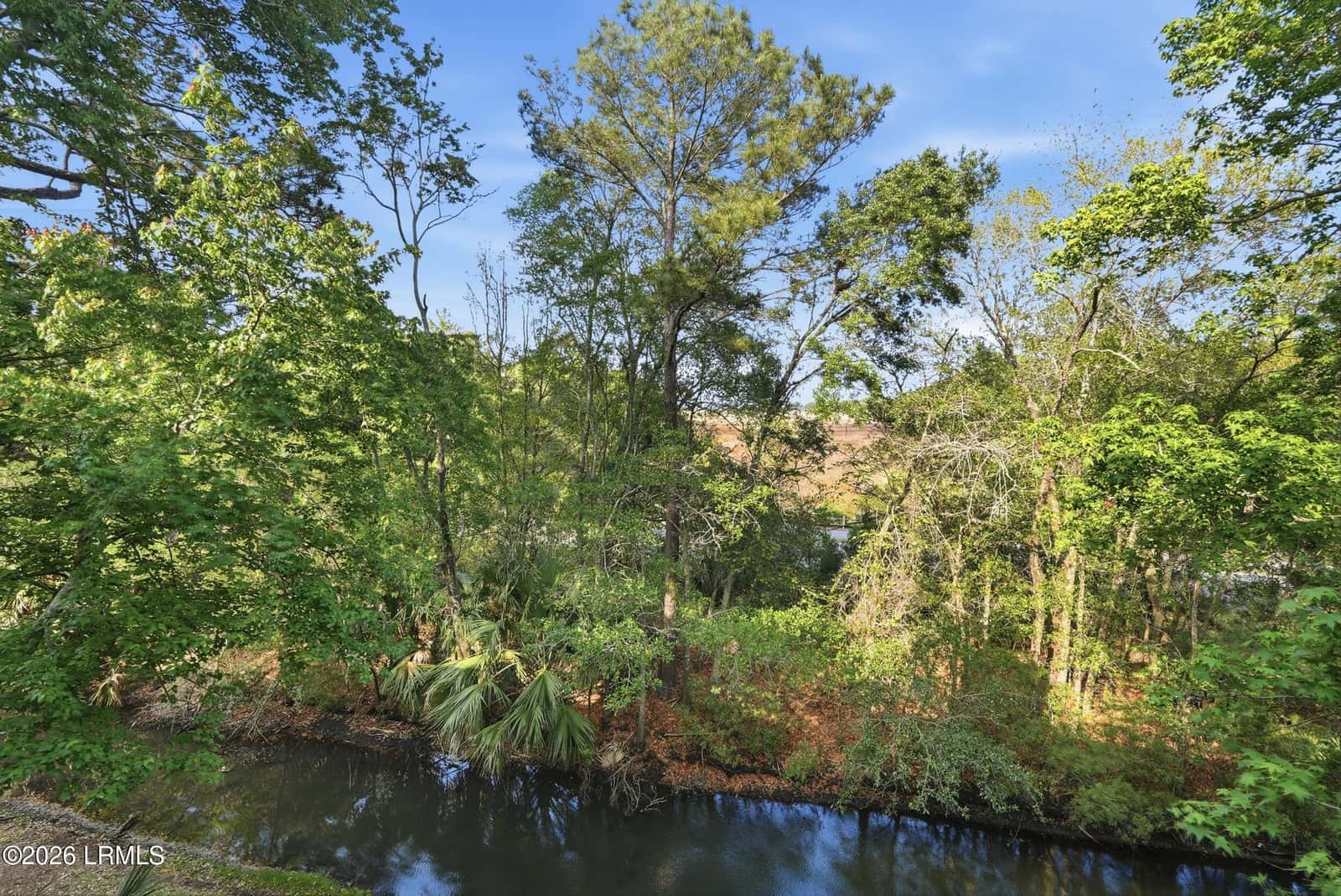 155 Dillon Road 2425, Hilton Head Island, SC 29926 — photo 17 of 39
