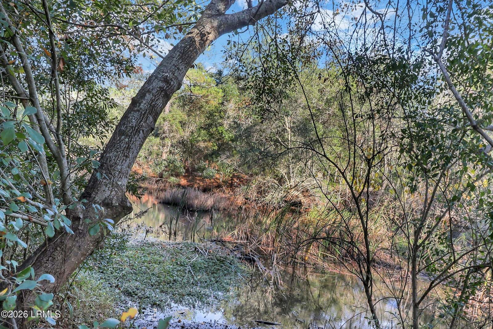 155 Dillon Road 2425, Hilton Head Island, SC 29926 — photo 38 of 39