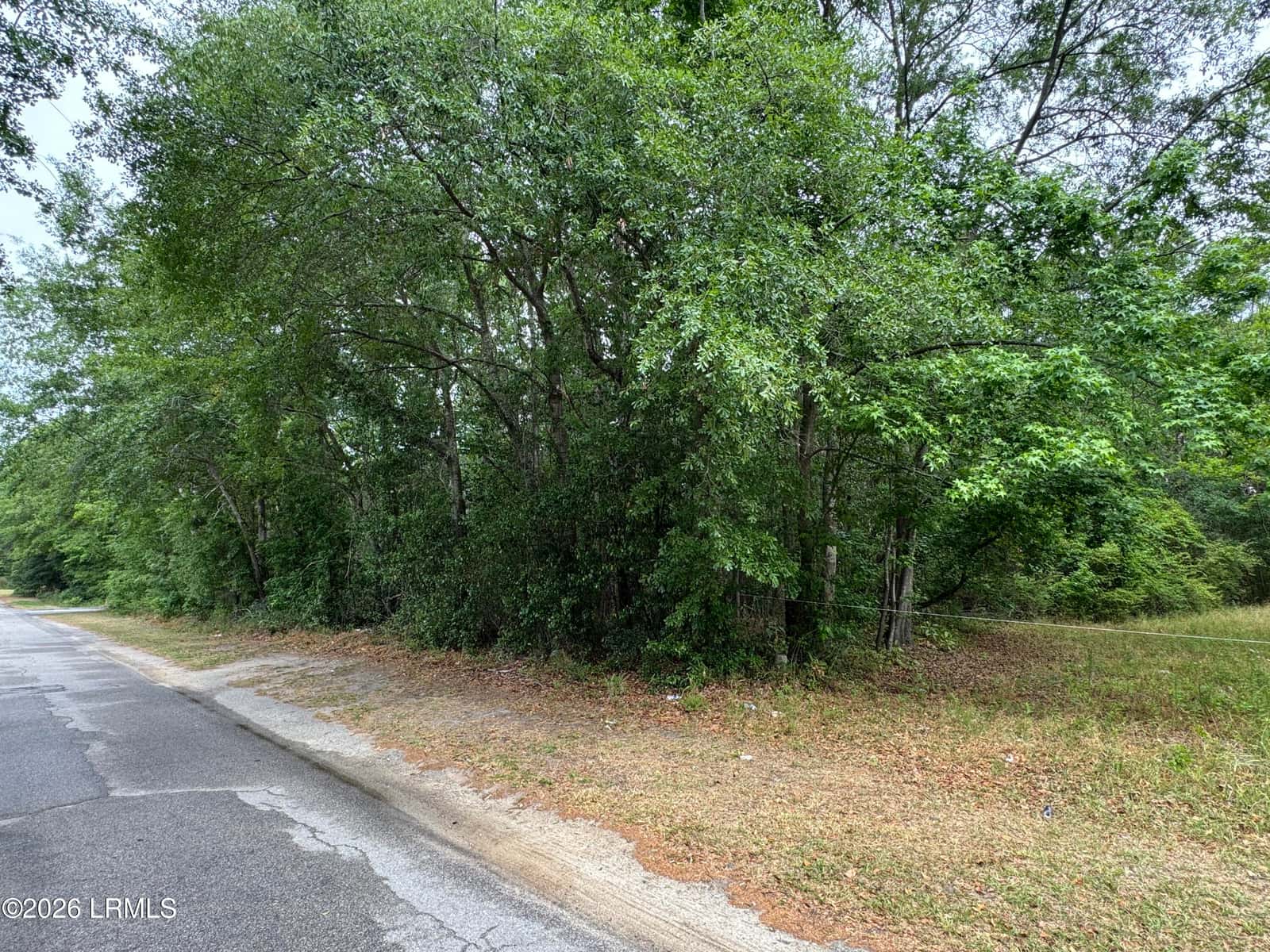 00 Ellis Avenue, Estill, SC 29918 — photo 2 of 5