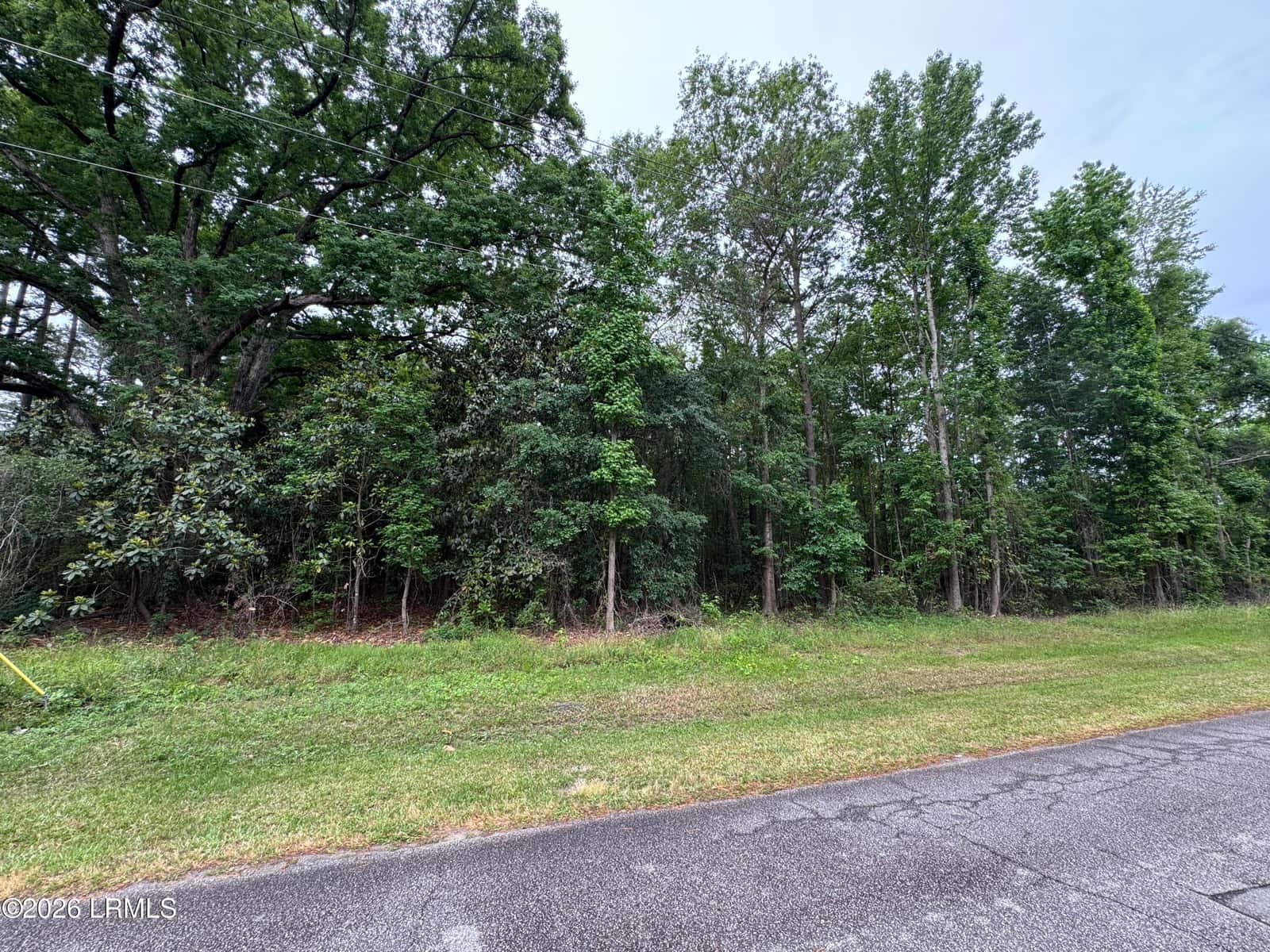 00 Ellis Avenue, Estill, SC 29918 — photo 3 of 5
