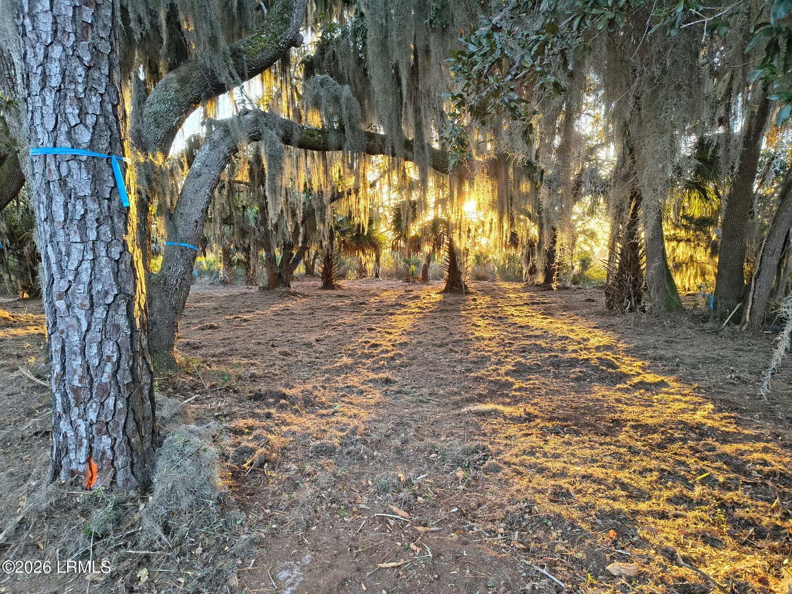 510 Broad River Drive, Beaufort, SC 29906 — photo 1 of 3