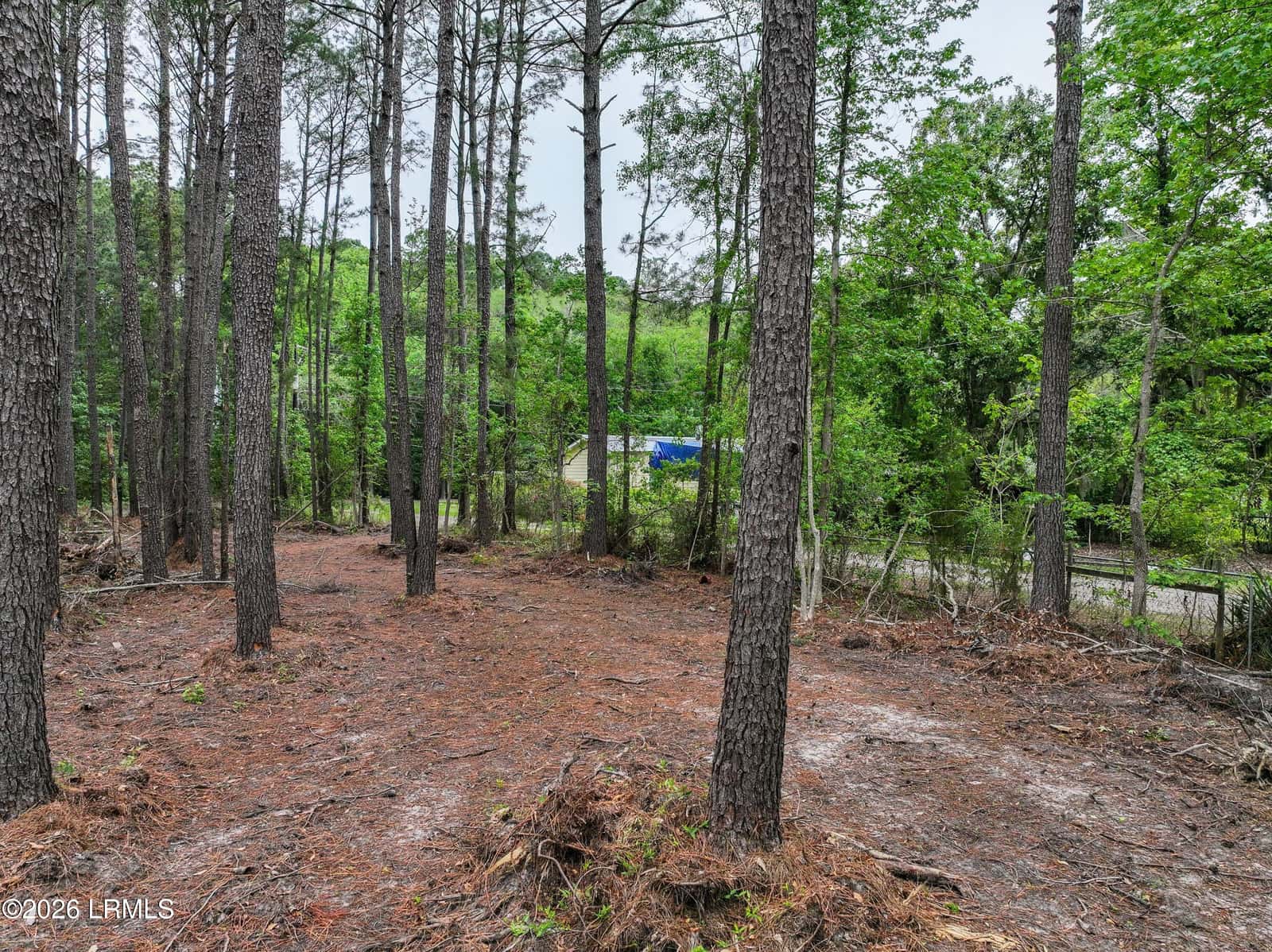 34 Creekmoor Lane, Seabrook, SC 29940 — photo 9 of 20