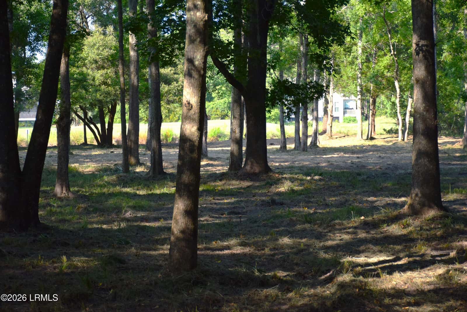 127 Dolphin Point Drive, Beaufort, SC 29907 — photo 8 of 22