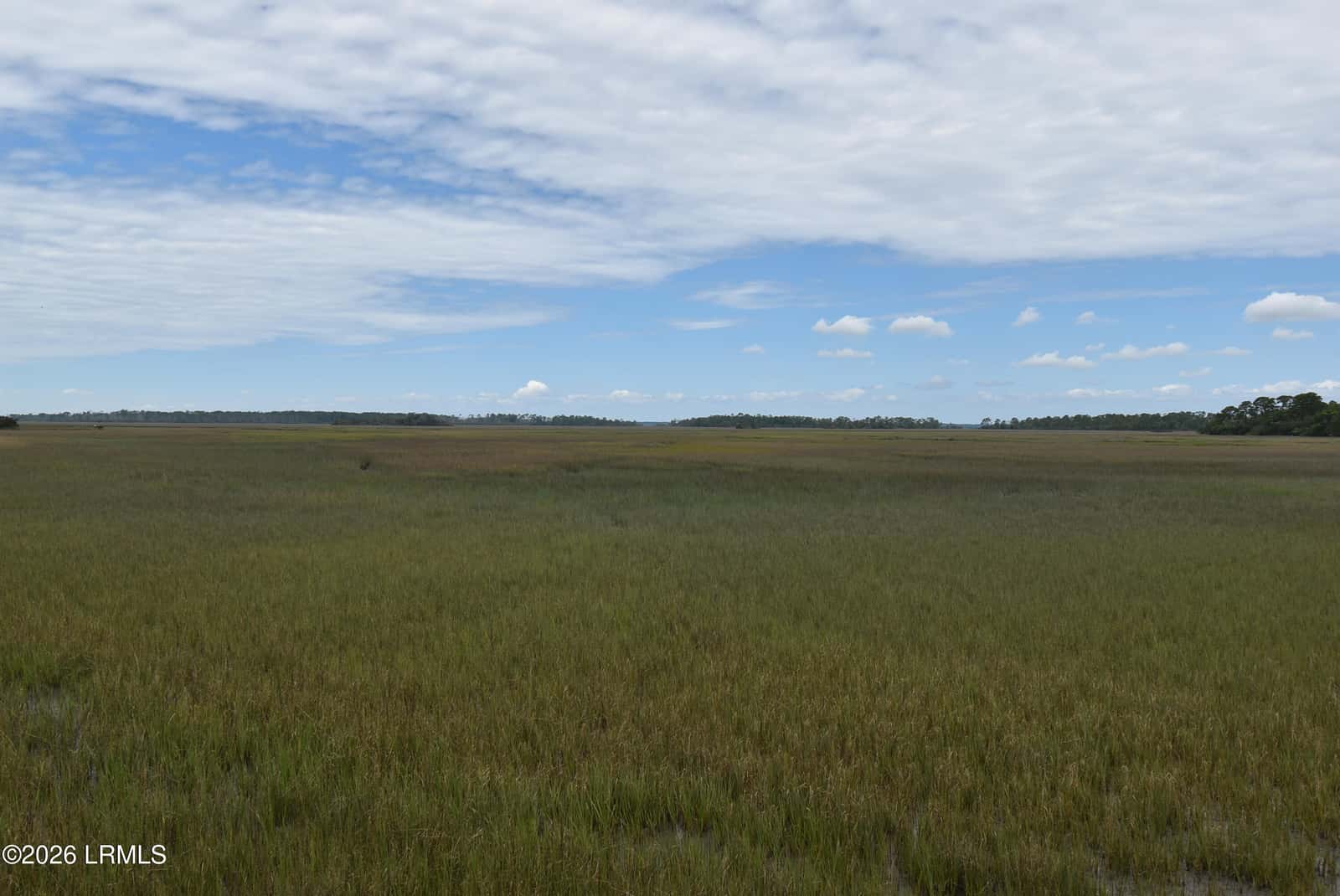831 Marsh Dunes Road, Fripp Island, SC 29920 — photo 30 of 46