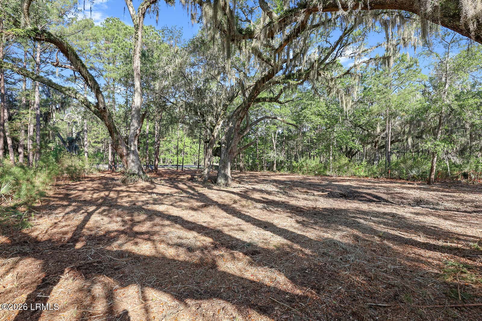 344 Somerset Drive, Yemassee, SC 29945 — photo 5 of 29