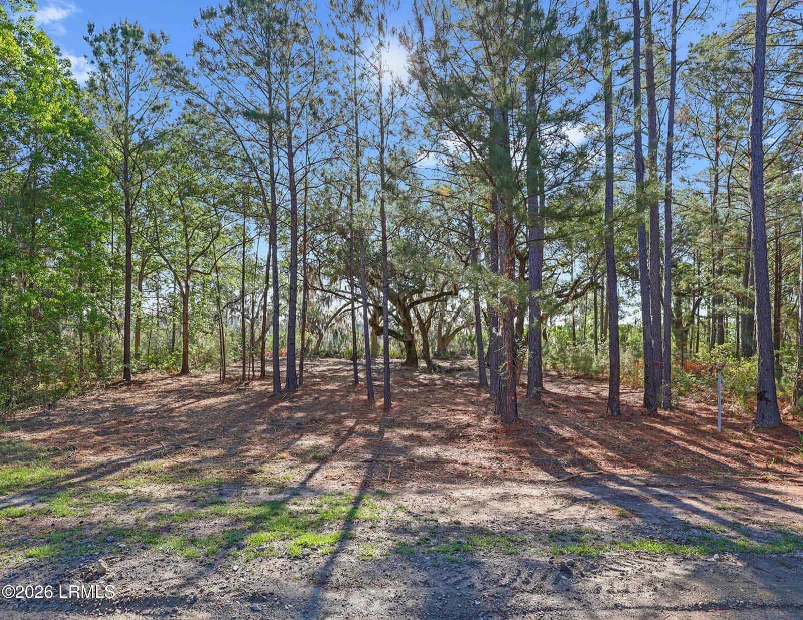 344 Somerset Drive, Yemassee, SC 29945 — photo 3 of 29