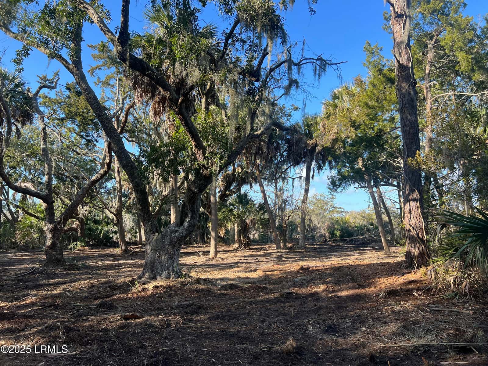 51 Harbor River Circle, St. Helena Island, SC 29920 — photo 18 of 40