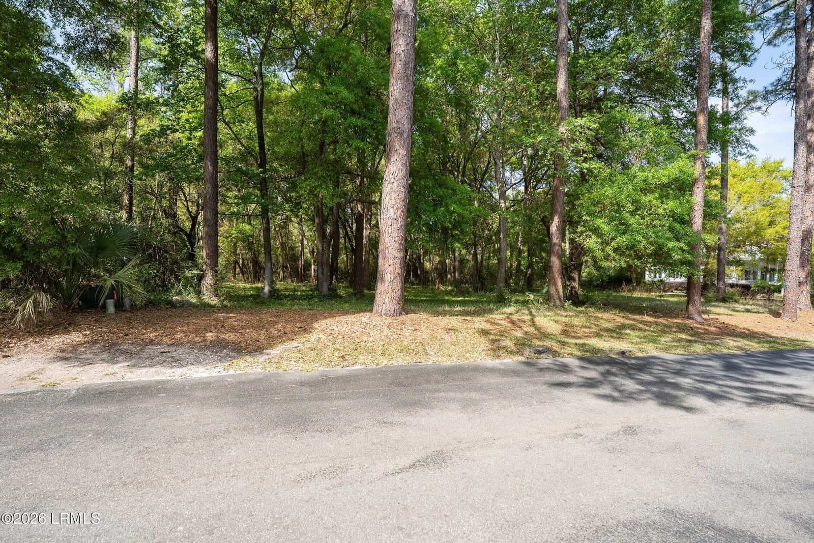 245 Distant Island Drive, Beaufort, SC 29907 — photo 28 of 31