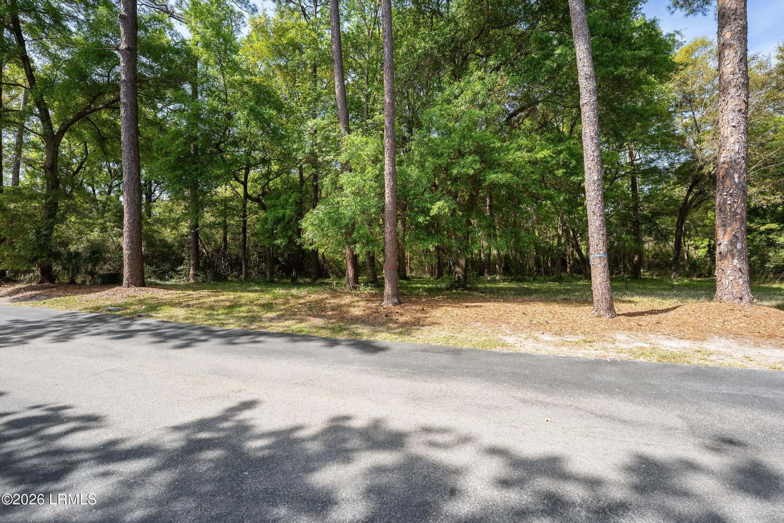 245 Distant Island Drive, Beaufort, SC 29907 — photo 30 of 31