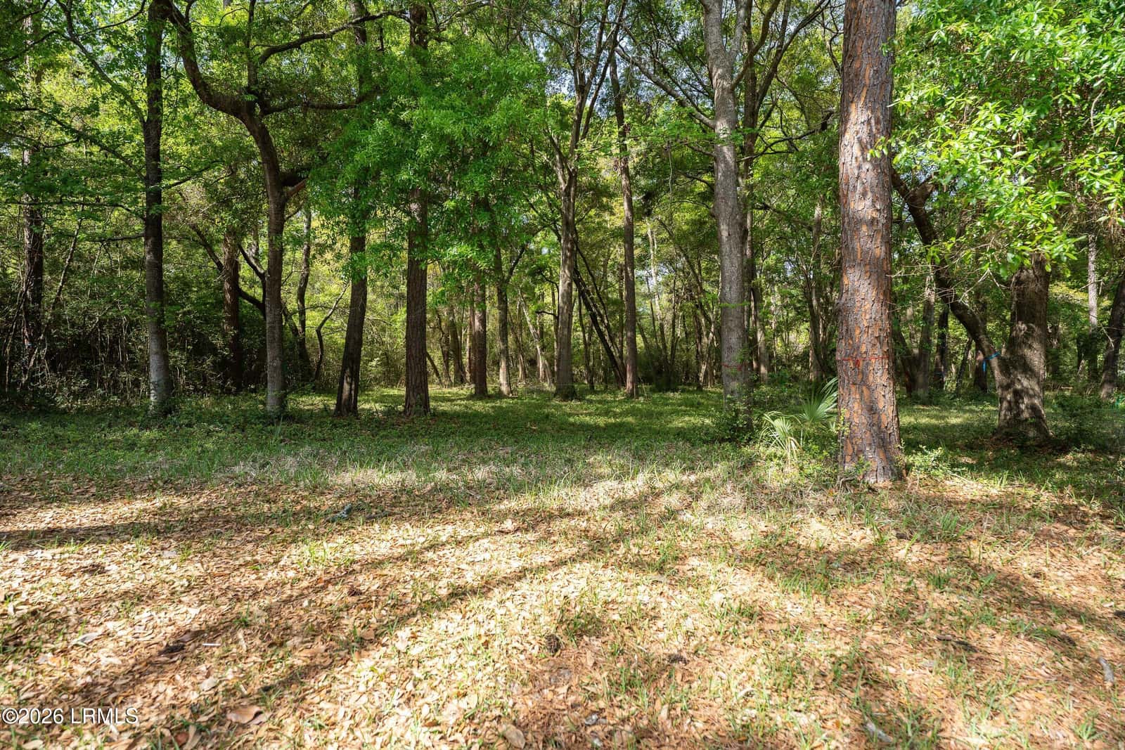 245 Distant Island Drive, Beaufort, SC 29907 — photo 31 of 31