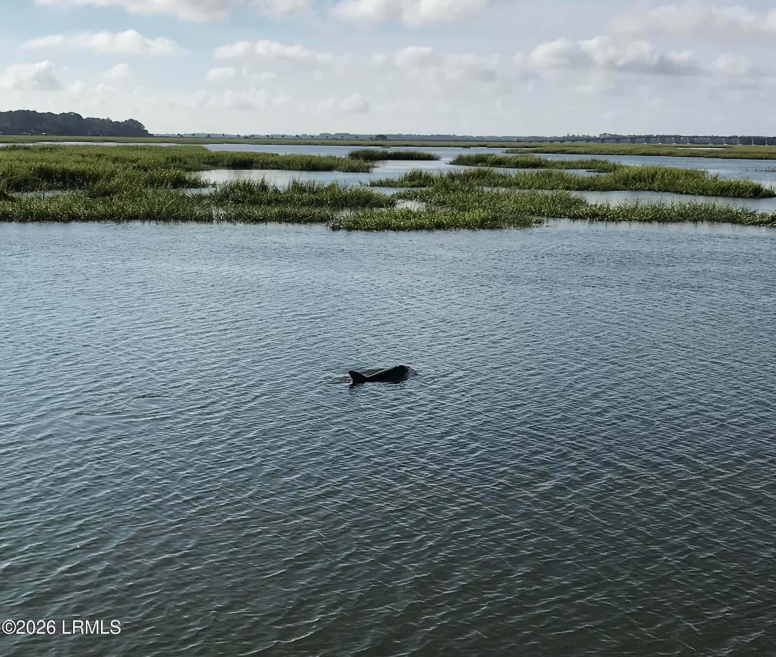 305 De La Gaye Point, Beaufort, SC 29902 — photo 19 of 21