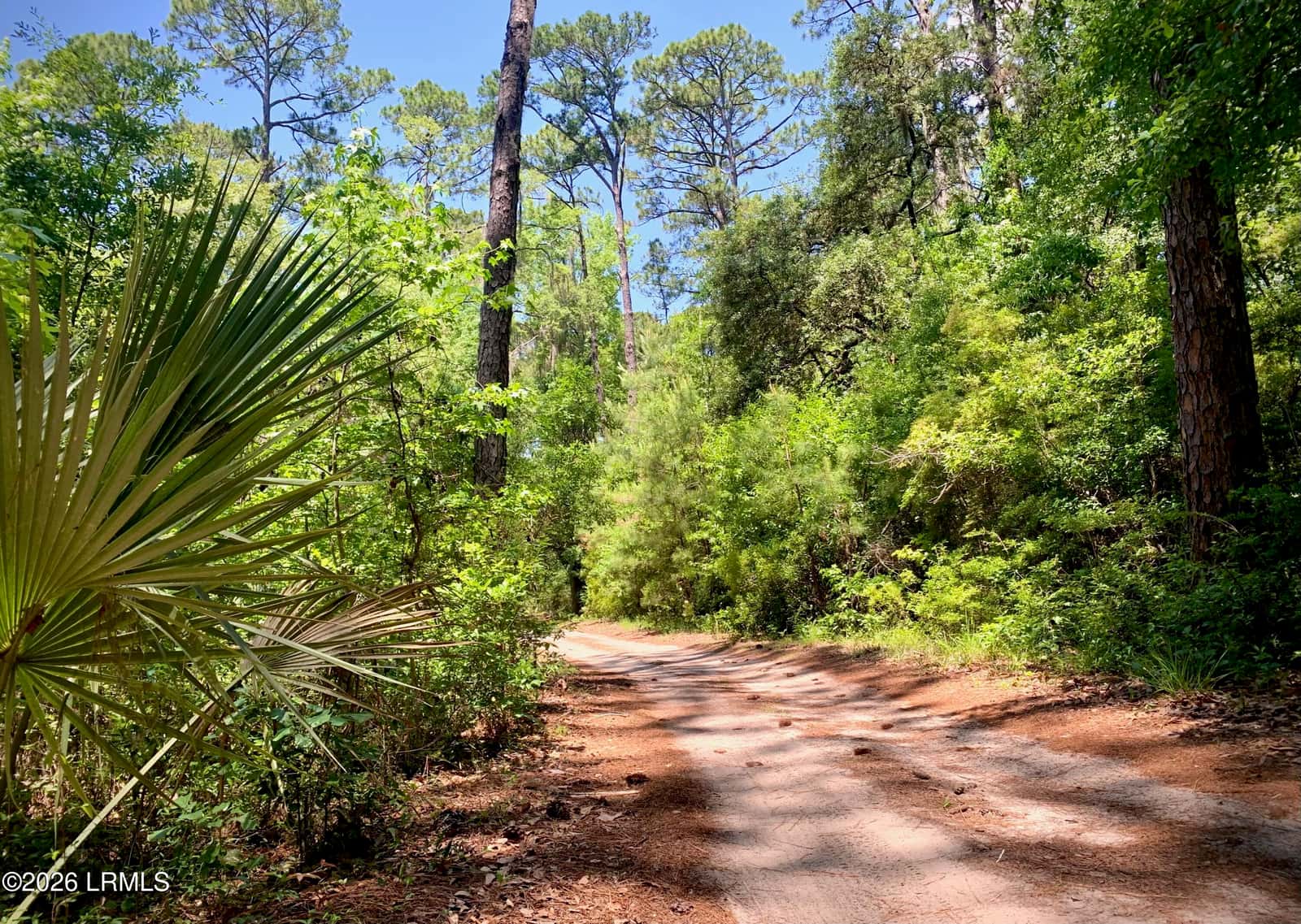 59 Hinson White Drive, Daufuskie Island, SC 29915 — photo 19 of 28