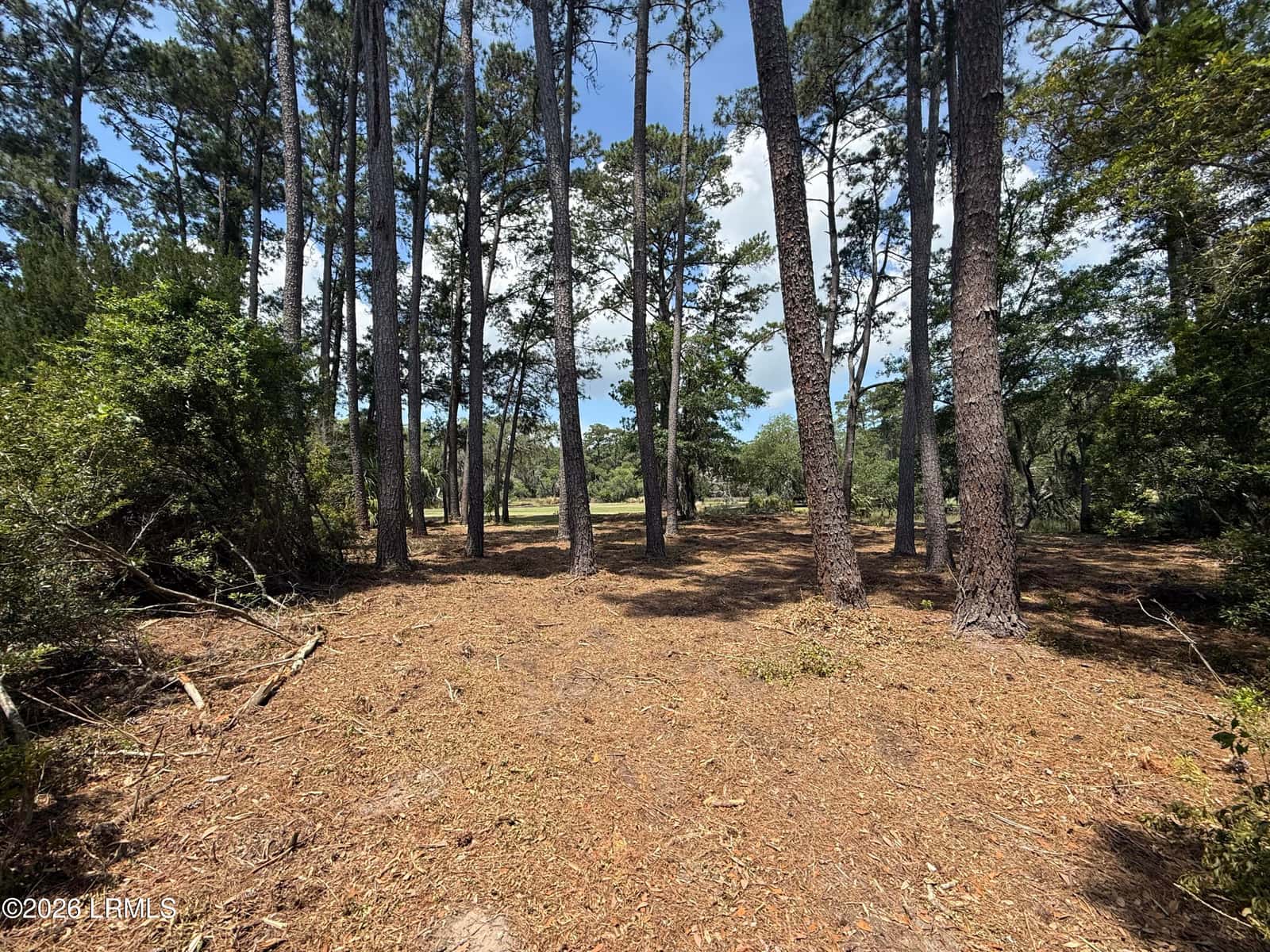 13 Butterfield Lane, Beaufort, SC 29907 — photo 15 of 32