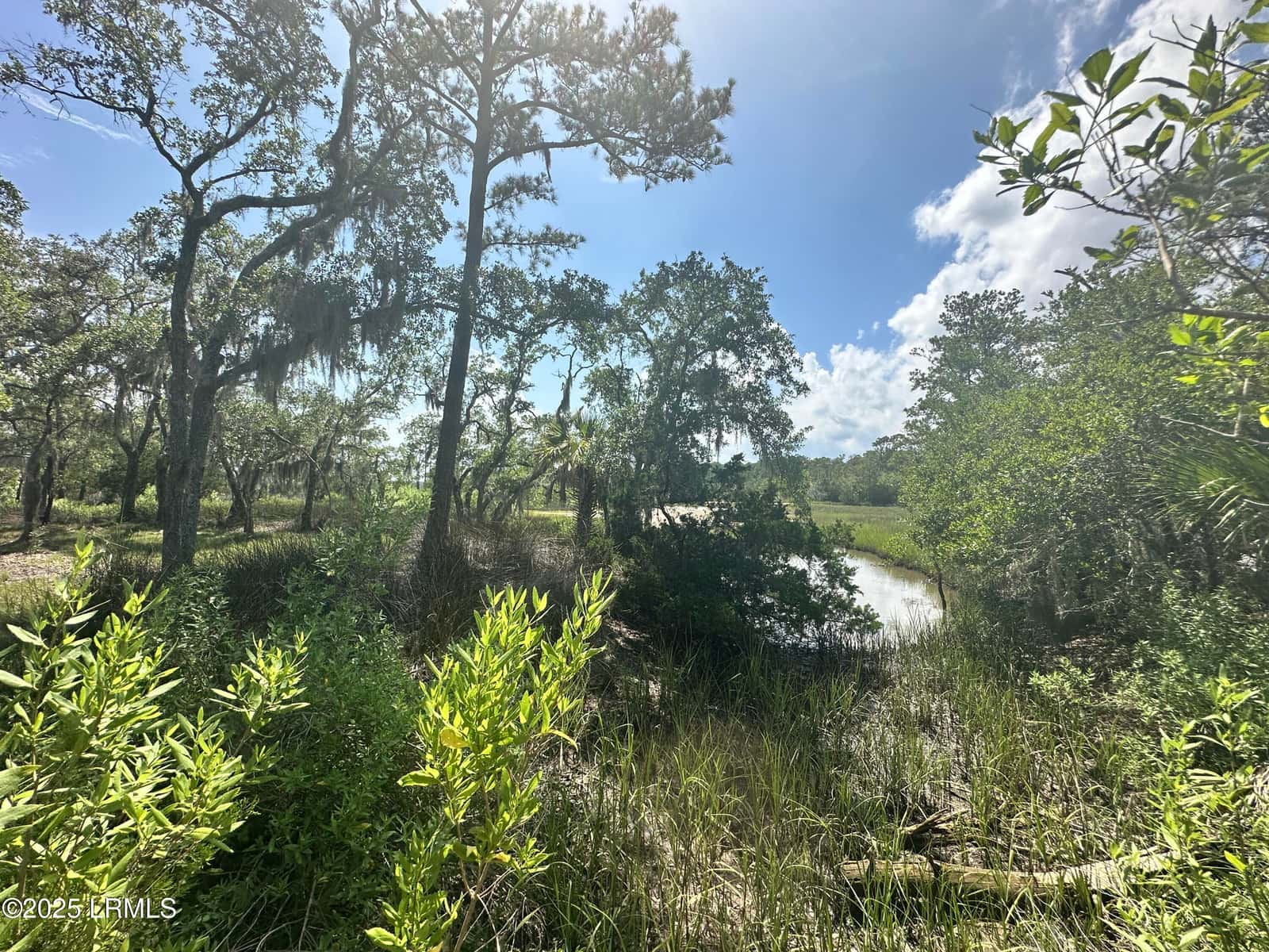 8 And 10 Hester Lane, Beaufort, SC 29907 — photo 18 of 24