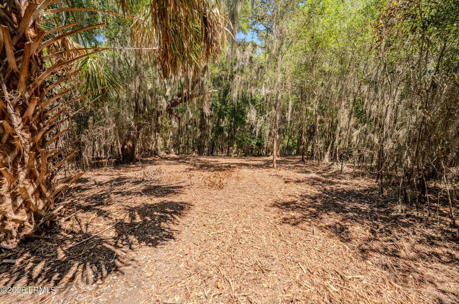6087 Wallace Landing Retreat, St. Helena Island, SC 29920 — photo 11 of 28