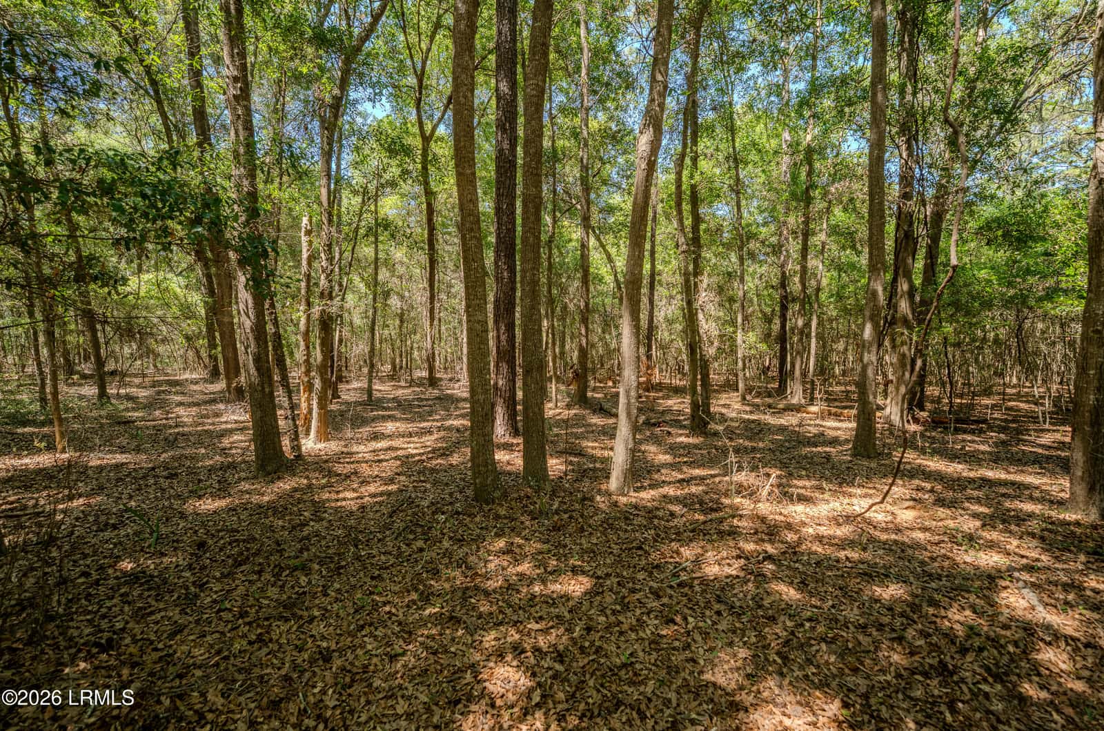 6087 Wallace Landing Retreat, St. Helena Island, SC 29920 — photo 26 of 28