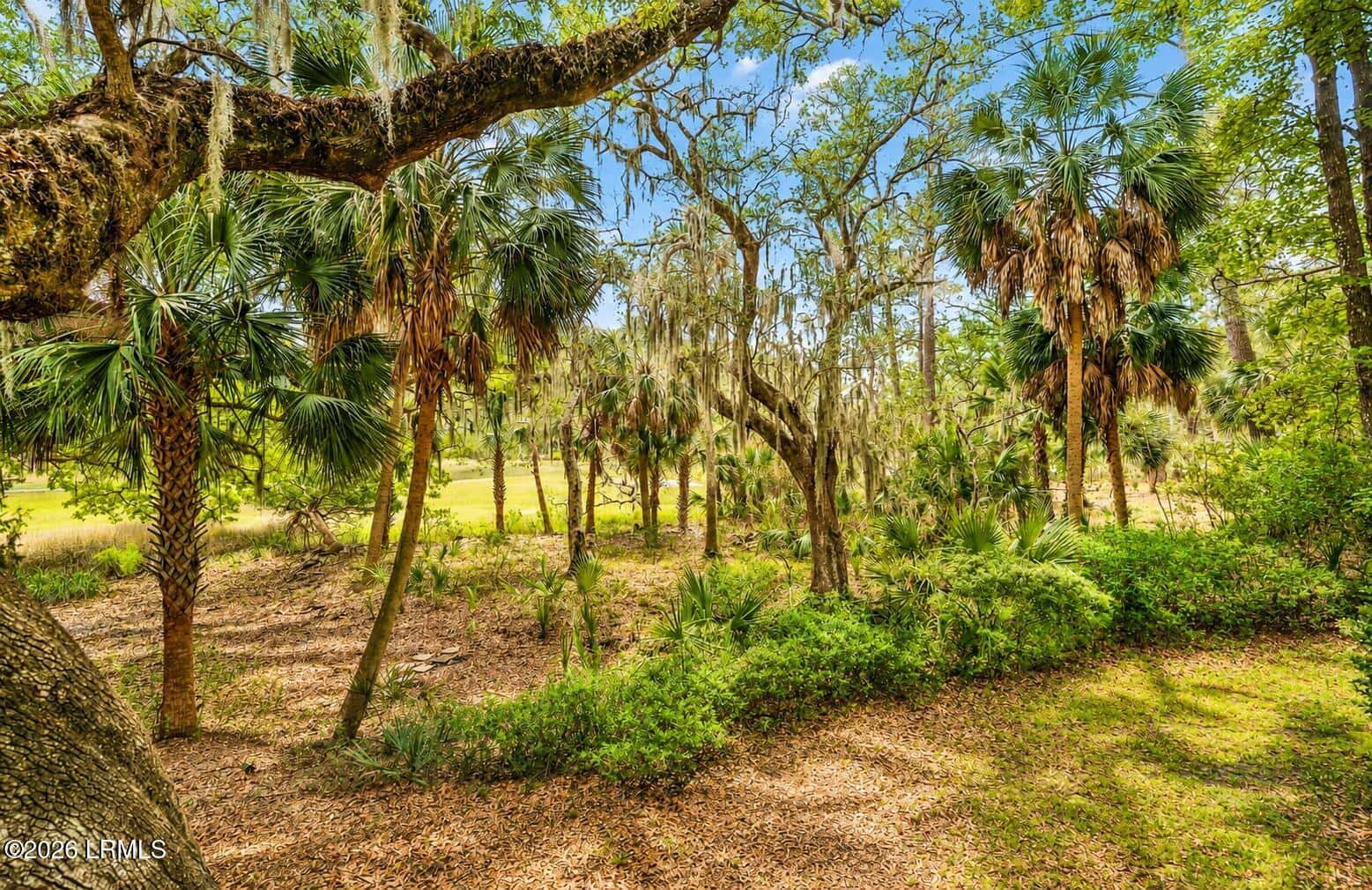 8 Chechessee Circle, Okatie, SC 29909 — photo 3 of 58