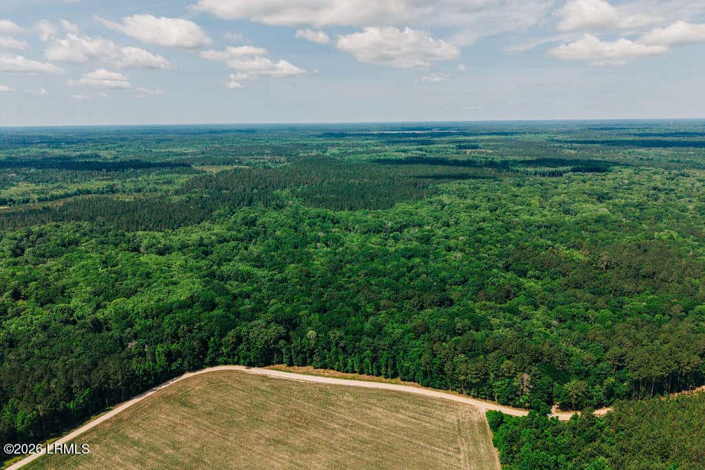 1 Parnel Road, Cope, SC 29038 — photo 1 of 13