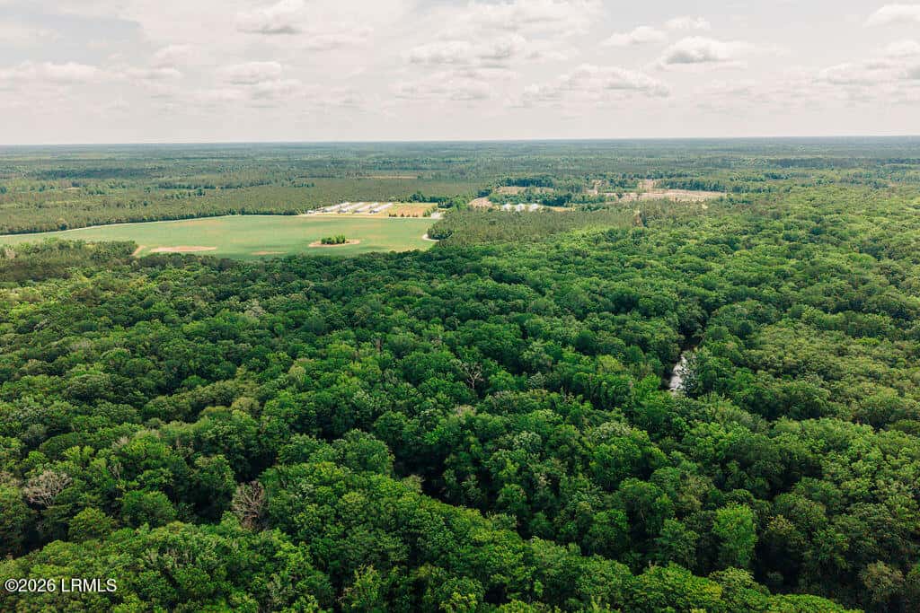 1 Parnel Road, Cope, SC 29038 — photo 7 of 13