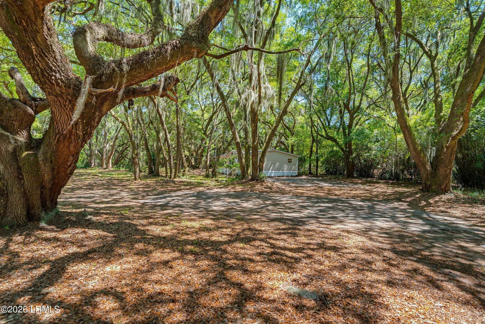 178 Coffin Point Road, St. Helena Island, SC 29920 — photo 3 of 29