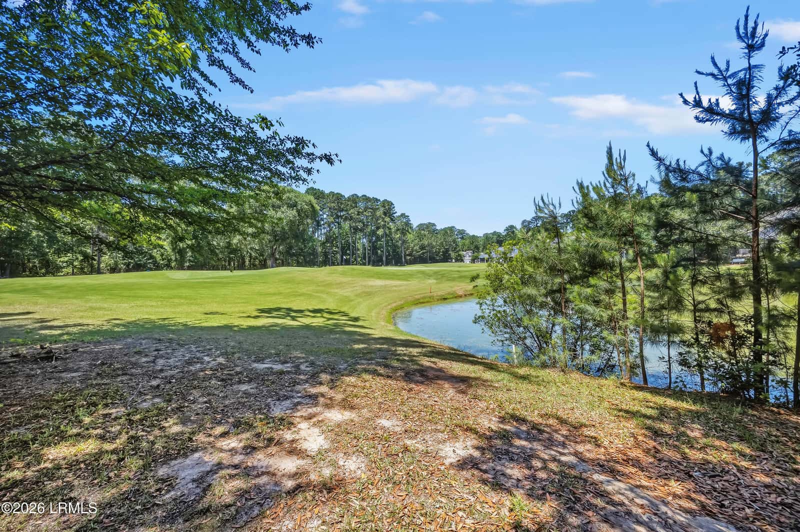 510 Firethorn Lane, Hardeeville, SC 29927 — photo 7 of 30