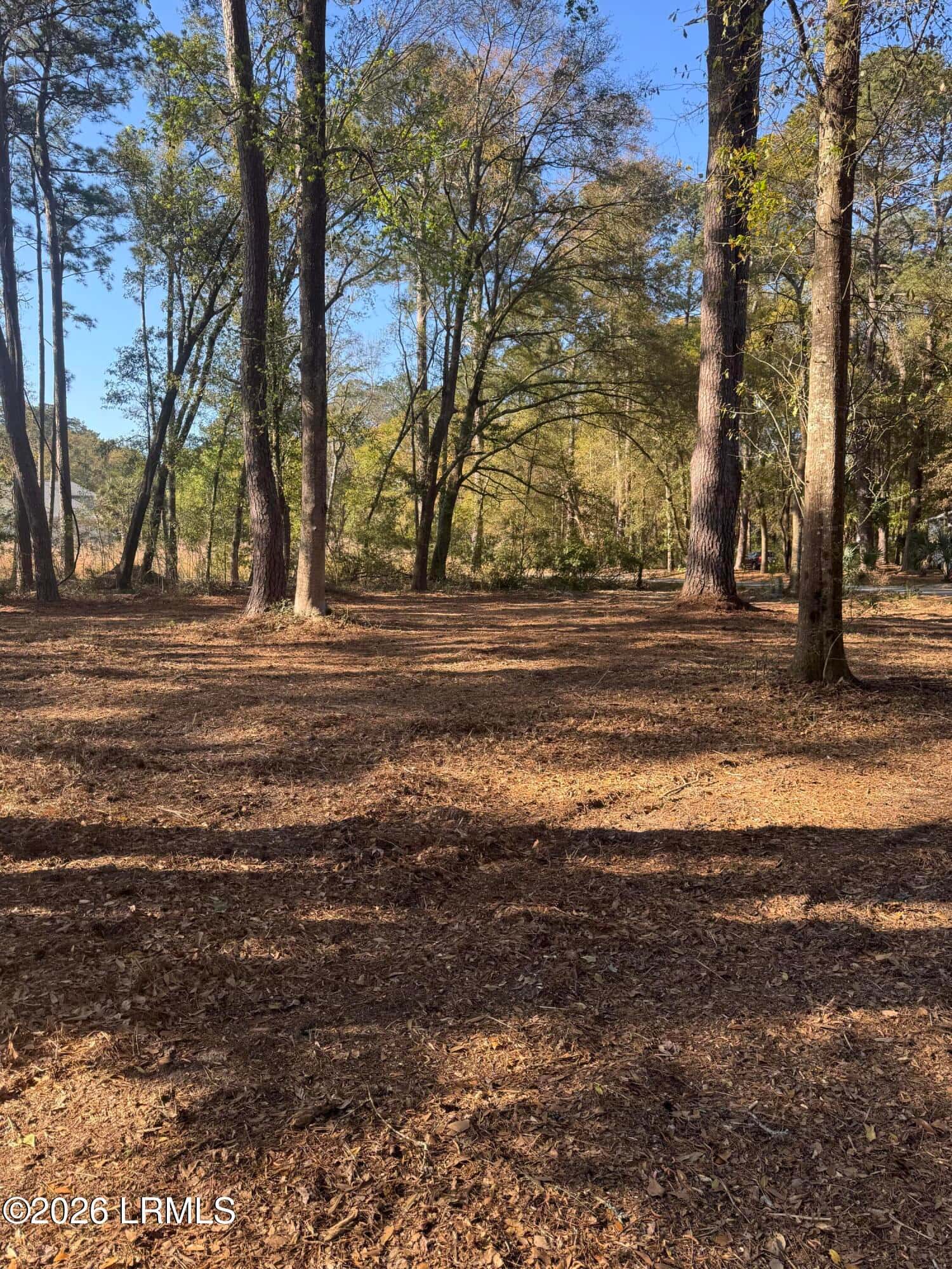 14 River Drive, Beaufort, SC 29907 — photo 6 of 6