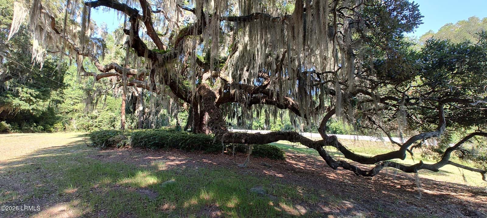967 Sea Island Parkway, St. Helena Island, SC 29920 — photo 3 of 25
